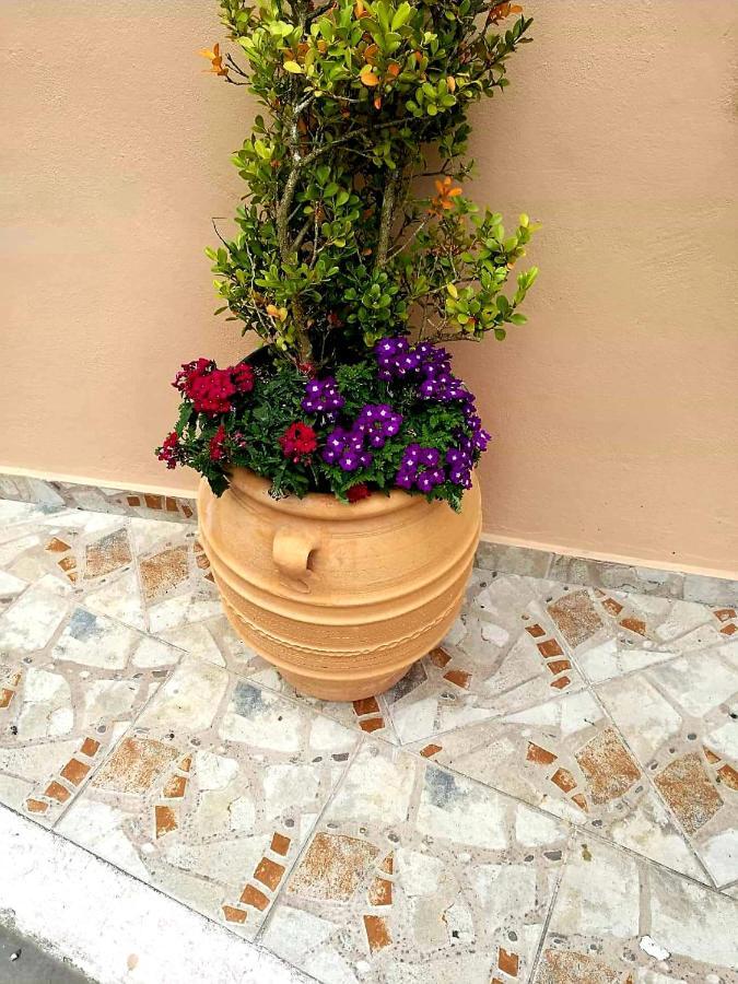 Joy New Port Studio Corfu Town 외부 사진